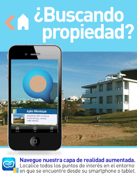 Imagen de Puntaweb Layer Propiedades
