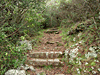Sendero hacia las Grutas de Salamanca