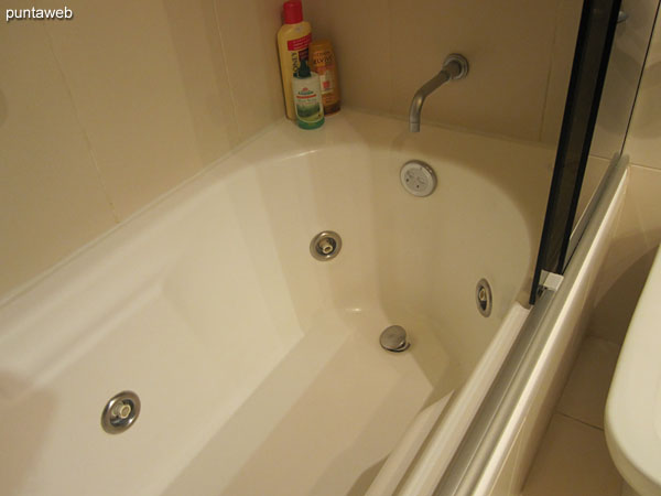 Baño de la suite equipado con ducha, mampara de vidrio e hidromasaje.