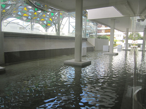 Espejo de agua entre la pileta climatizada y el lobby del edificio.