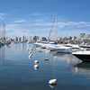 Punta del Este: desarrollos inmobiliarios para una nueva década.