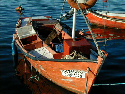 Puerto de Punta del Este - Punta del Este