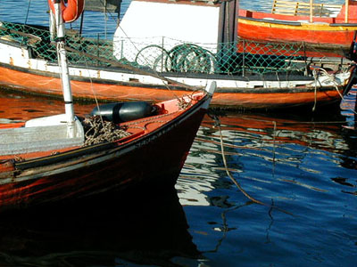 Puerto de Punta del Este - Punta del Este