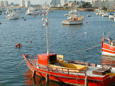 Puerto de Punta del Este - Punta del Este