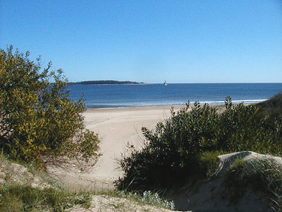 Vista de la Isla de Gorriti desde Playa Mansa - Punta del Este