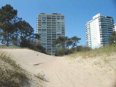 Playa Mansa - Punta del Este