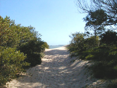 Playa Mansa - Punta del Este