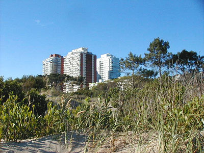 Costas sobre la Playa Mansa - Punta del Este