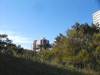 Costas sobre la Playa Mansa - Punta del Este