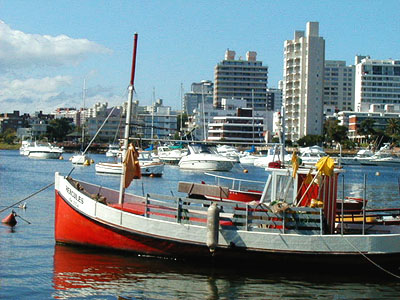 Puerto de Punta del Este - Punta del Este