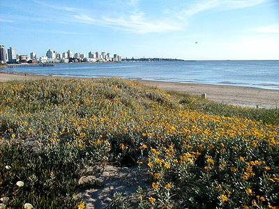 Vista de la pennsula desde la Playa Mansa - Punta del Este