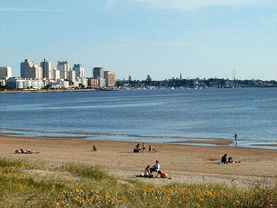 Playa Mansa - Punta del Este