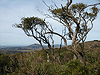 Sierra de Las Animas - Pan de Azcar