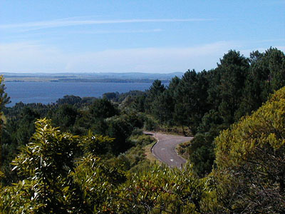 Vista de la Laguna del Sauce desde Las Cumbres - Punta Ballena