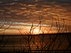 Fotos de Punta del Este