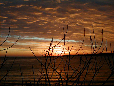 Atardecer sobre Playa Mansa - Punta del Este