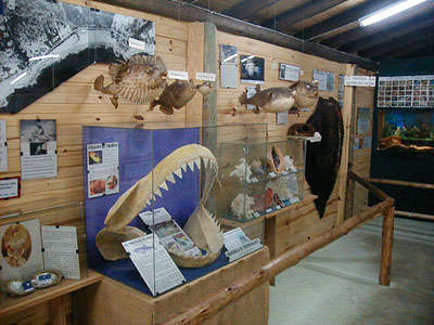 Museo del Mar en La Barra - La Barra