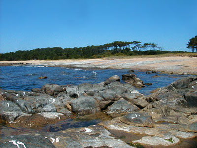 Isla de Gorriti - Punta del Este