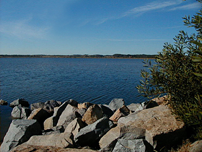 Laguna Jos Ignacio - Jos Ignacio