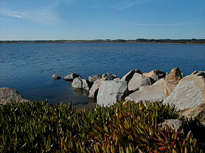 Laguna Jos Ignacio - Jos Ignacio