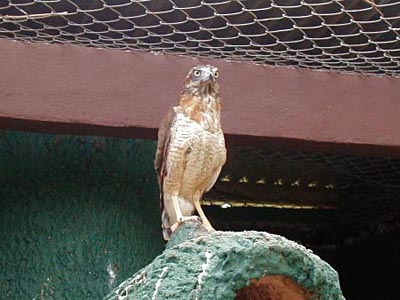 Zoolgico del Parque Medina - San Carlos