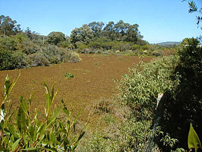 Parque Pan de Azcar - Pan de Azcar