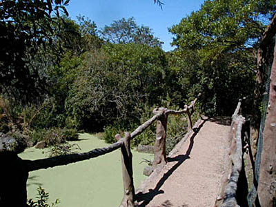 Parque Pan de Azcar - Pan de Azcar