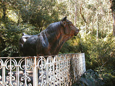 Cerro del Toro - Piripolis