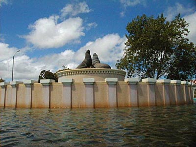 Rotonda de Lobos - Maldonado