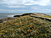 Ruta Panormica - Punta Ballena