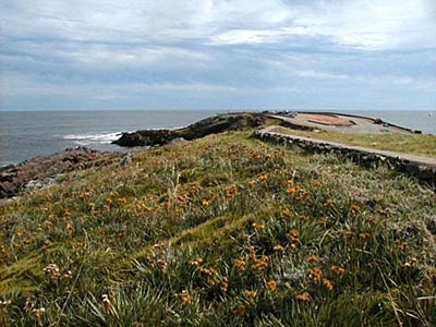 Ruta Panormica - Punta Ballena