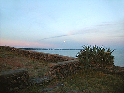 Vista panormica desde "el lomo de la Ballena" - Punta Ballena
