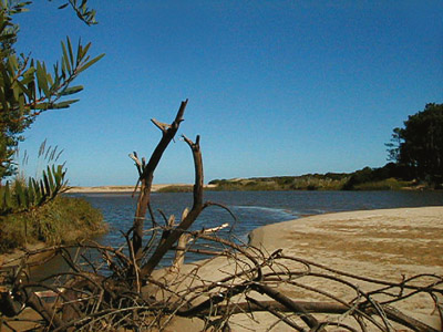 Arroyo El Potrero - Punta Ballena