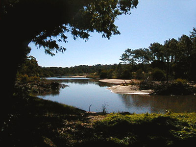 Arroyo El Potrero - Punta Ballena