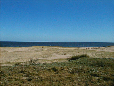 Vista general de la Playa Chihuahua - Punta Ballena