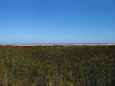 Playa Chihuahua, vista desde el Arroyo El Potrero - Punta Ballena