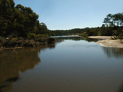 Arroyo El Potrero - Punta Ballena