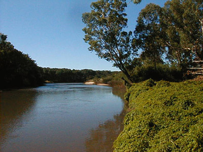 Arroyo El Potrero - Punta Ballena