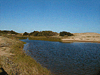 Arroyo El Potrero - Punta Ballena