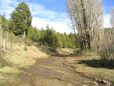 Subida al Cerro Otto - Bariloche