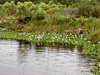 Espejo de agua en Sierras de Garzn - Garzn