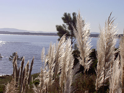 Laguna del Diario - Punta Ballena