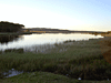 Laguna del Diario - Punta Ballena