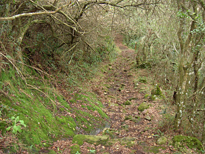 Sendero hacia las Grutas de Salamanca - Aigu