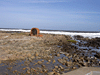 Fotos de Punta del Este