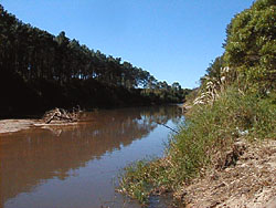 Arroyo del Potrero