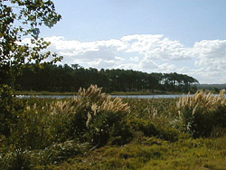 Laguna del Diario