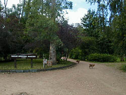 Parque Mancebo