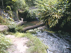 Paseo de la Aguada