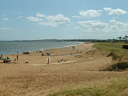 Playa de Pinares